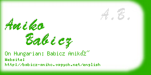 aniko babicz business card